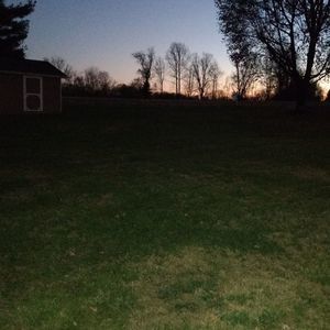 Meet your Posher, Jake